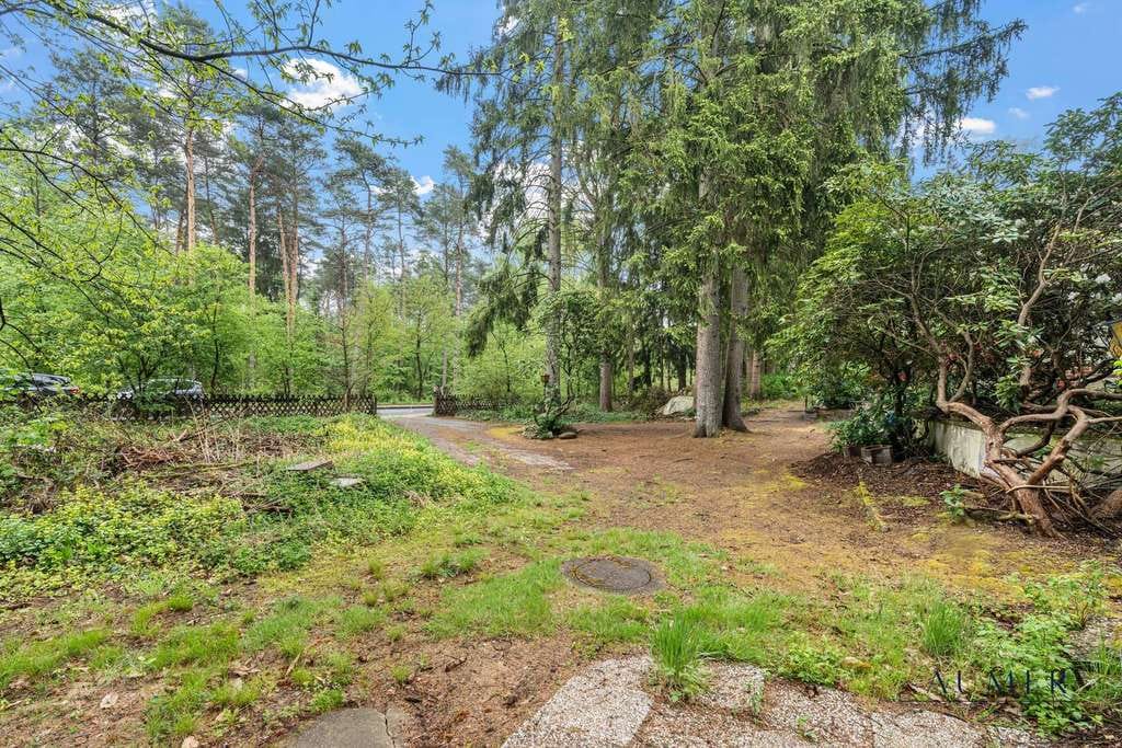 Immobilie in Buchholz in der Nordheide - Wo der Wald beginnt: 3.000 m² und zwei Häuser in Holm-Seppensen - Bild 3