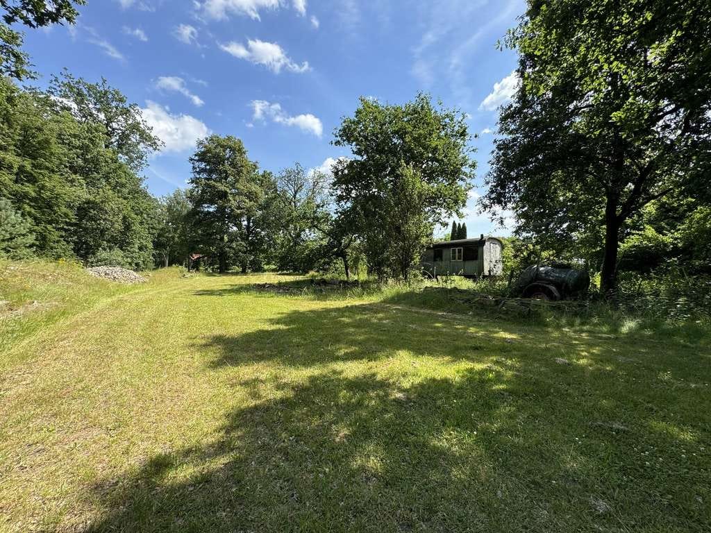 Immobilie in Munster - altes Forsthaus, Nebengebäude, 7600qm Grundstück, teilbar in 4 Baugrundstücke einzeln erwerbar - Bild 3