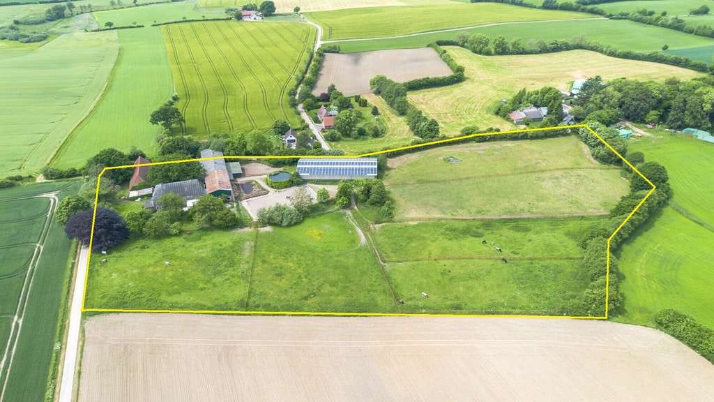 Immobilie in Böel - Ein Traum für Pferdeliebhaber:  Reitanlage mit Halle und Hauskoppeln - Bild 1