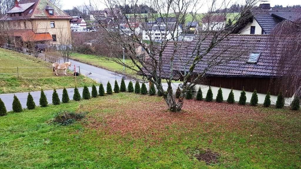 Immobilie in Rickenbach - Dreifamilienhaus in Rickenbach in ruhiger Wohnlage - auch als Mehrgenerationenhaus geeignet. - Bild 4