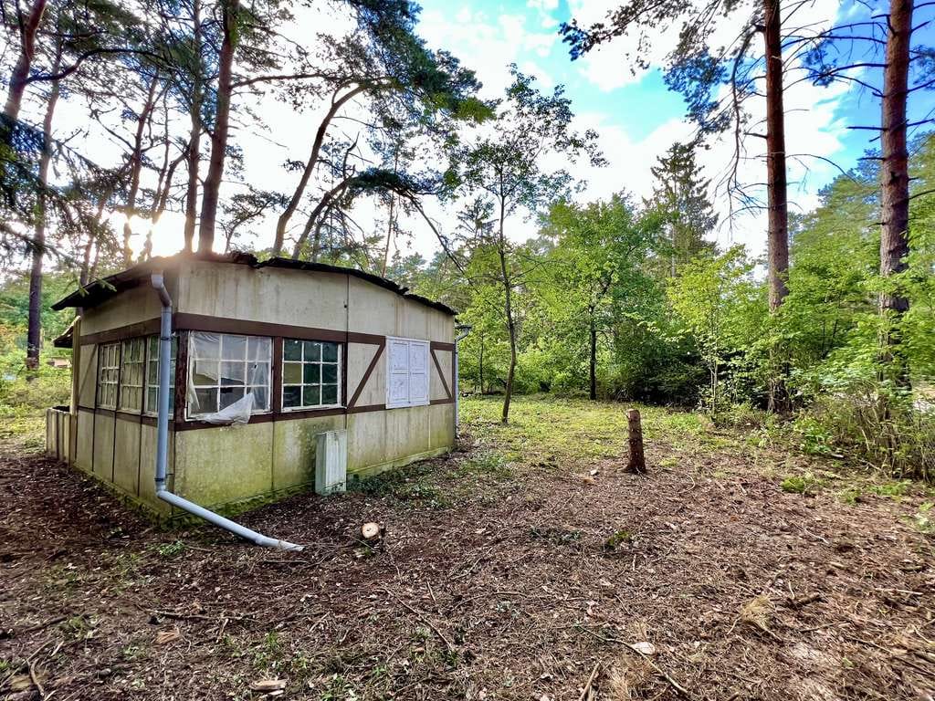 Immobilie in Borkheide - Waldgrundstück mit Bestandsgebäude in Borkheide 799 m² Nähe Berlin - Bild 1