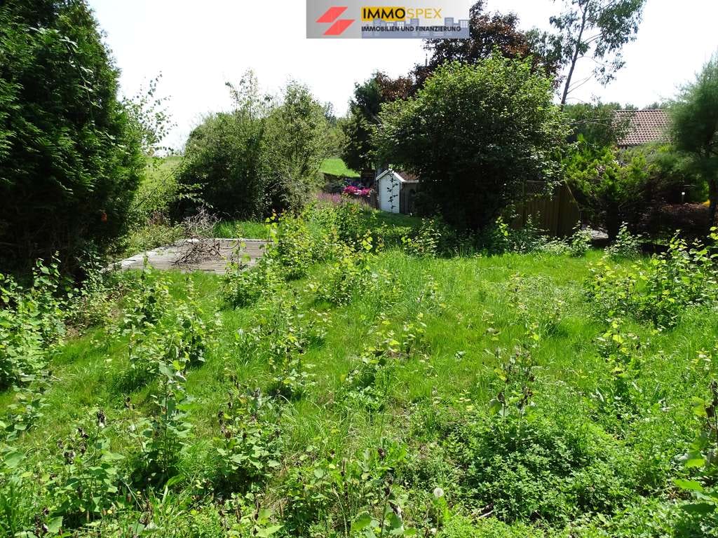 Immobilie in Bad Säckingen - Großes Ein-/Zwei Familienhaus in sehr guten Lage von Rippolingen - Bild 1
