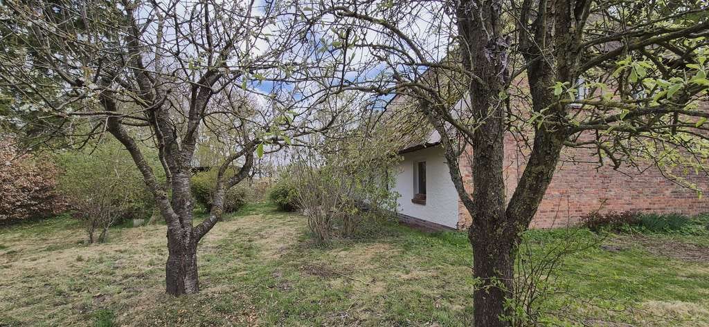 Immobilie in Mesekenhagen - Idyllisches Reetdachhaus-Ensemble mit großem Grundstück in Wassernähe 9 km von Uni-Stadt Greifswald - Bild 1