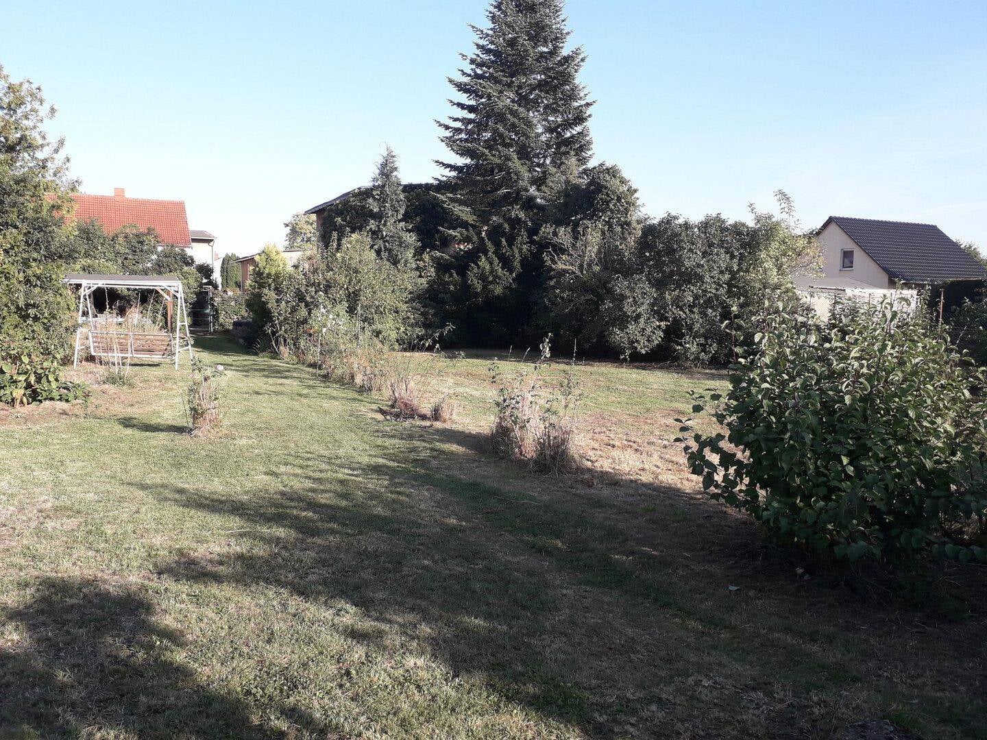Immobilie in Bördeland - Wohnprojekt mit viel Grundstück - Bild 4