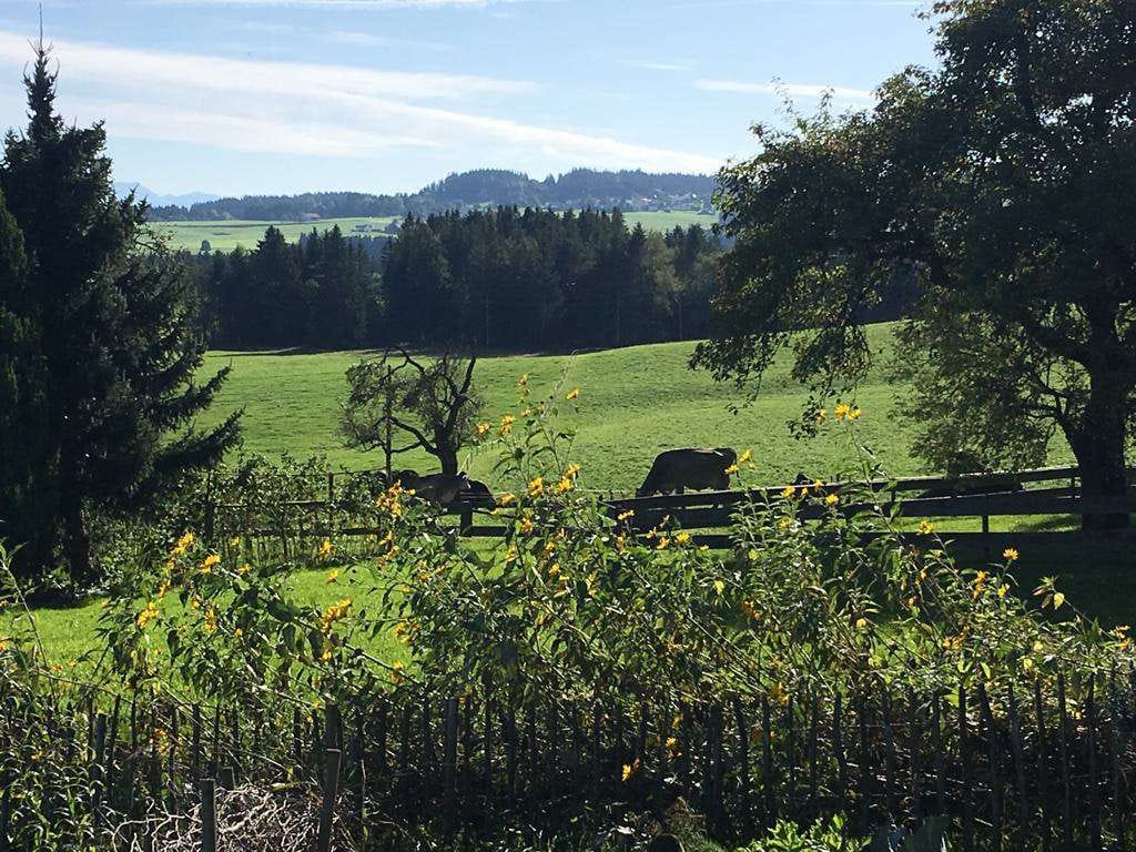 Immobilie in Heimenkirch - Ehemaliger Bauernhof in toller Lage mit Bergblick! - Bild 3