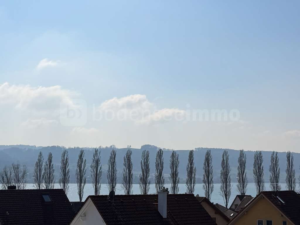 Immobilie in Öhningen - Bezugsfertiges Einfamilienhaus mit Penthouse und herrlicher Sicht auf den Bodensee - Bild 0