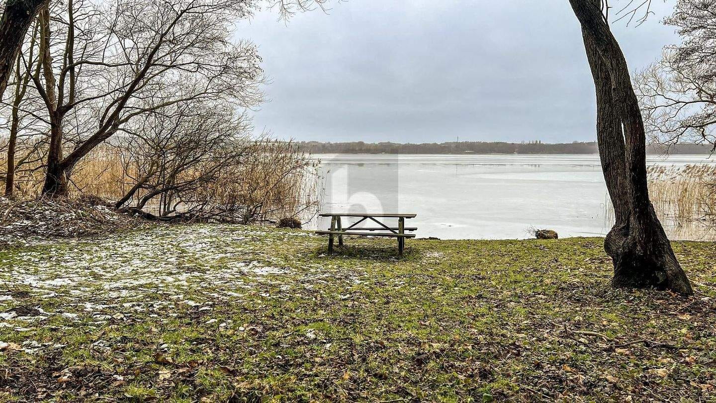 Immobilie in Rehna - HISTORISCH | NATURIDYLLE AM RATZEBURGER SEE - Bild 4