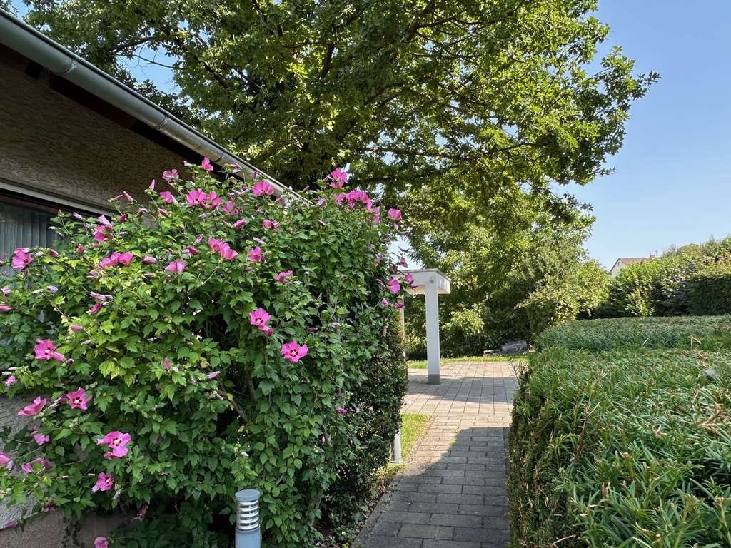 Immobilie in Linden - 7-Zimmer Einfamilienhaus in Linden mit großem Grundstück - Bild 2