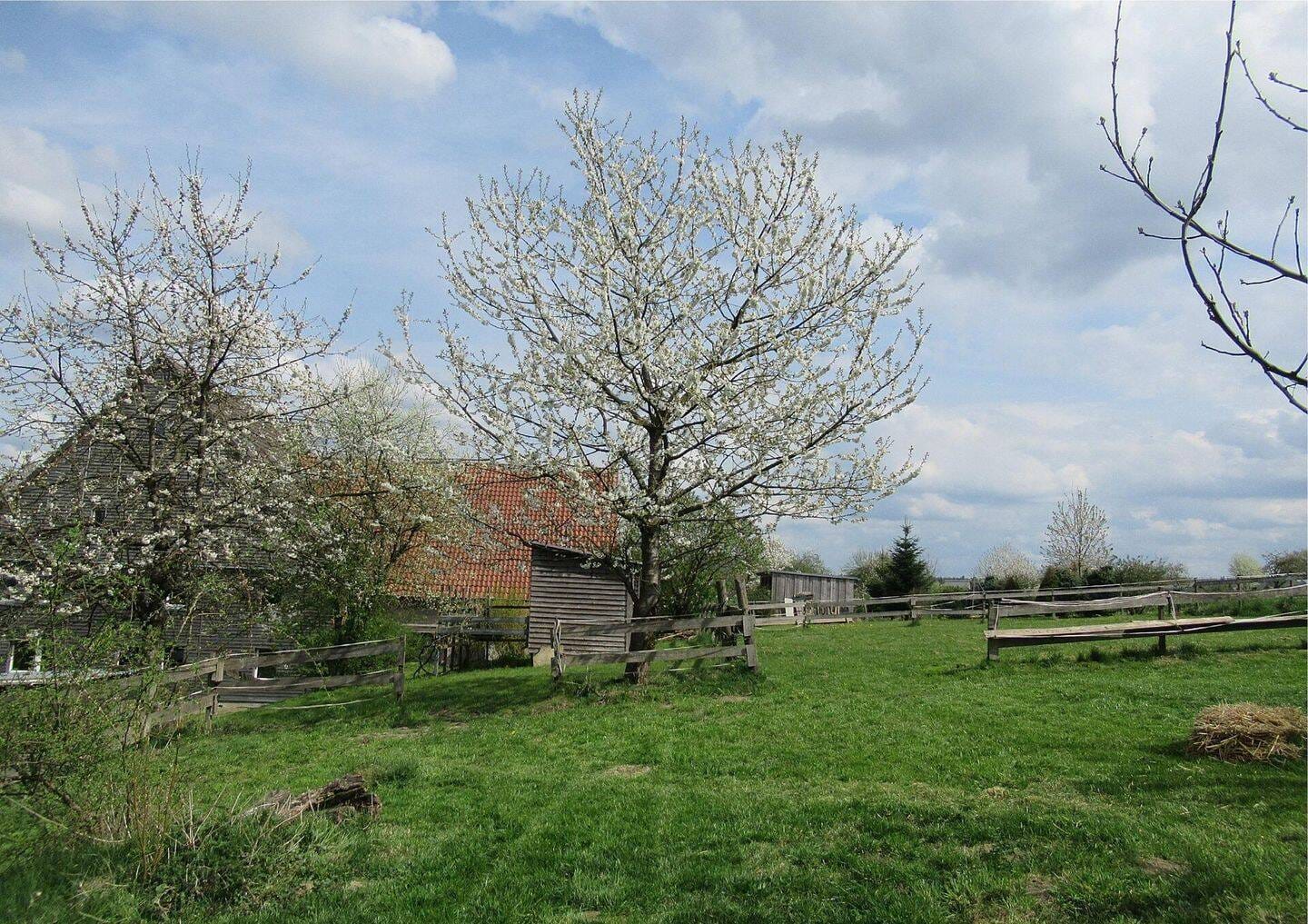 Immobilie in Horn-Bad Meinberg - Das Besondere für ihre Ideen: ein Resthof mit Raum für Mensch und Tier - Bild 2