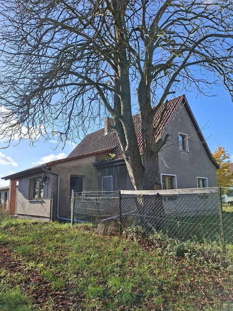 Immobilie in Friesack - einzigartige Immobilie zum Kauf mit großzügigen Grundstück - Bild 1