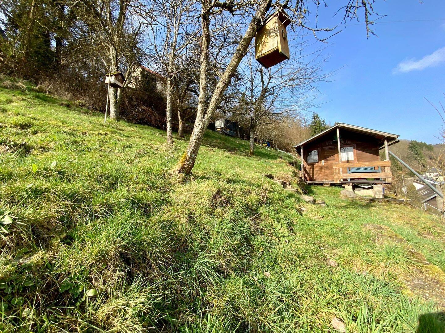 Immobilie in Waxweiler - Einfamilienhaus mit Wintergarten, Grundstück und einer traumhaften Aussicht und mehreren Terrassen in herrlicher, sehr ruhiger Naturlage in Waxweiler. - Bild 4