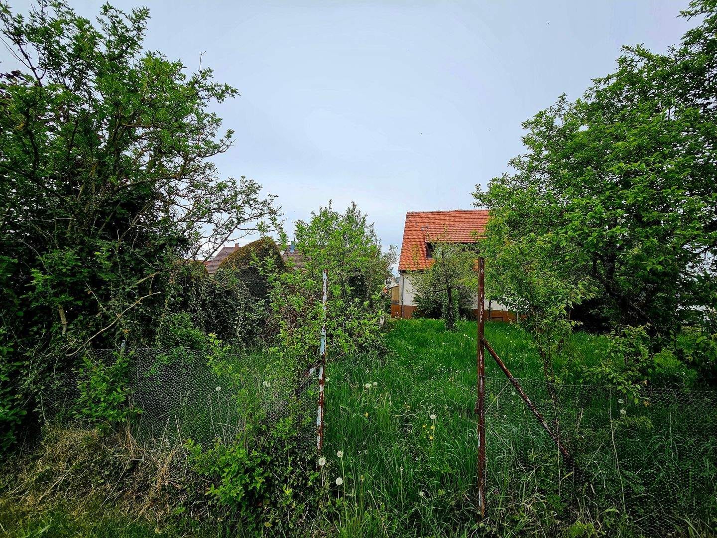 Immobilie in Böbingen an der Rems - 2- Familien-Wohnhaus in Böbingen - Bild 0