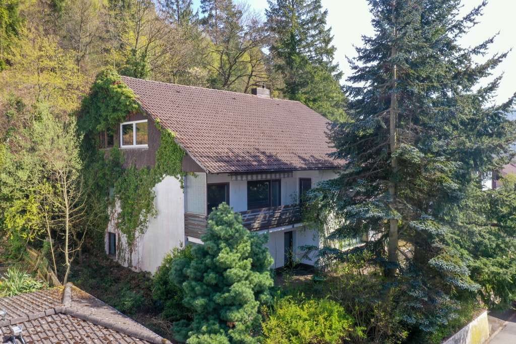 Immobilie in Langelsheim - Interessantes Mehrfamilienhaus mit großem Potential in ruhiger Lage von Lautenthal - Bild 1