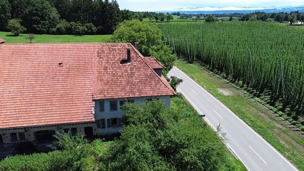 Immobilie in Bodnegg - Ehemaliges landwirtschaftliches Anwesen mit Nebengebäuden zwischen Wiesen/Hopfenfeldern bei Bodnegg! - Bild 3
