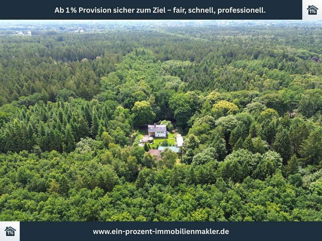 Immobilie in Weddingstedt - Natur, Ruhe & Gestaltungsspielraum – Teilsaniertes Waldhaus in einzigartiger Lage bei Weddingstedt - Bild 0
