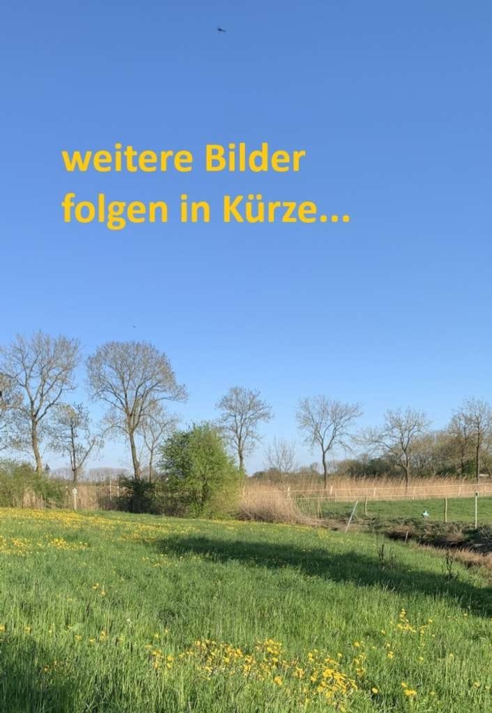Immobilie in Berne - Sanierungsbedürftiges Reetdach-Bauernhaus mit Nebengebäude und Weidefläche! - Bild 3