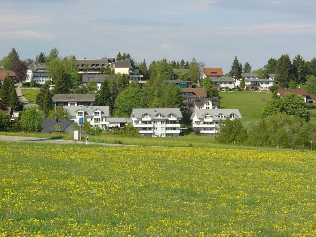Immobilie in Höchenschwand - Unverbaubare TOPLAGE ! - Bild 0