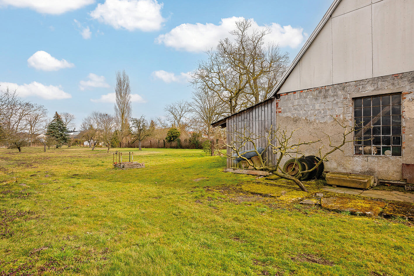 Immobilie in Neustadt (Dosse) - Pferdestärken für Ihre Ideen – Dreiseitenhof in Neustadt (Dosse) - Bild 4