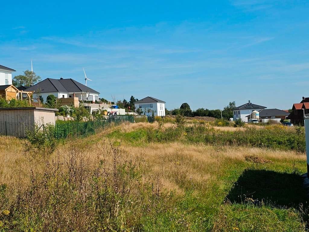 Immobilie in Wulften am Harz - Faszinierend und effizient! Ihr Einfamilienhaus mit Erker - Bild 3