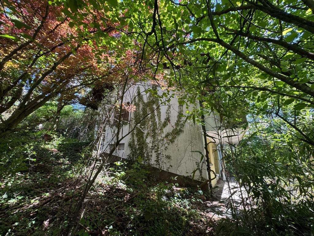 Immobilie in Hohentengen am Hochrhein - Charaktervolles Einfamilienhaus im Dornröschenschlaf - Bild 2
