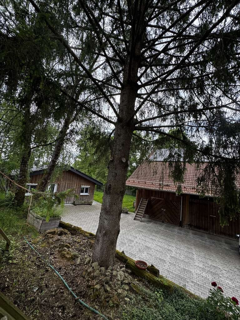 Immobilie in Schefflenz - Ein Anwesen mit Charakter, Charme und nahezu grenzenlosen Möglichkeiten - Bild 4