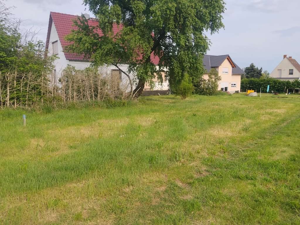 Immobilie in Mühlberg/Elbe - Alltagstaugliches Einfamilienhaus mit 6 Zimmern in Altenau - Bild 2