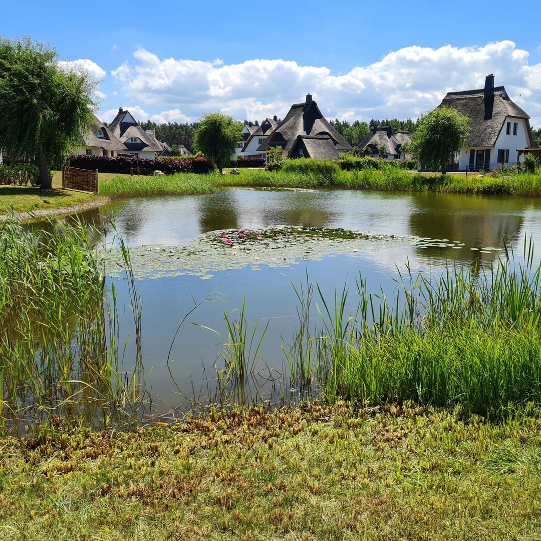 Immobilie in Fuhlendorf - Ferienhaus mit großzügigem Garten am Bodstedter Bodden - Bild 1
