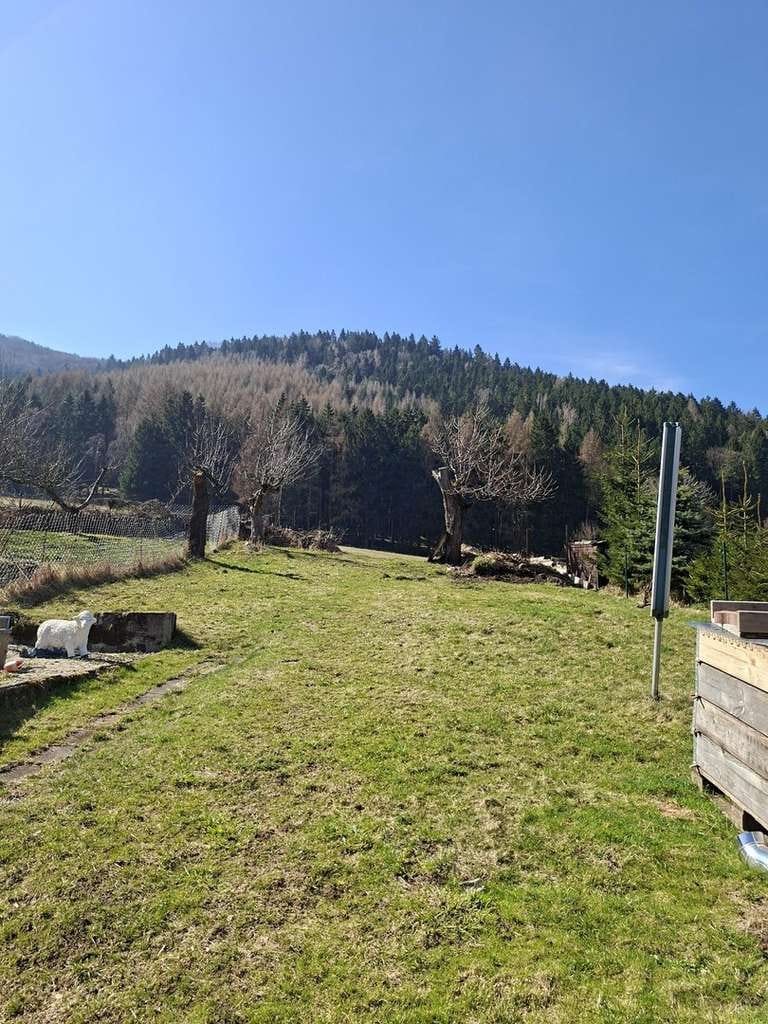 Immobilie in Großschönau - Wohnen wo andere abschalten-Haus mit Blick auf die Lausche in traumhafter Naturlage - Bild 3