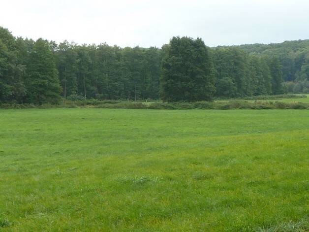 Immobilie in Uckerland - Alleinlage mit 100 qm Haus, Scheunen und 92 Hektar Land - Bild 1