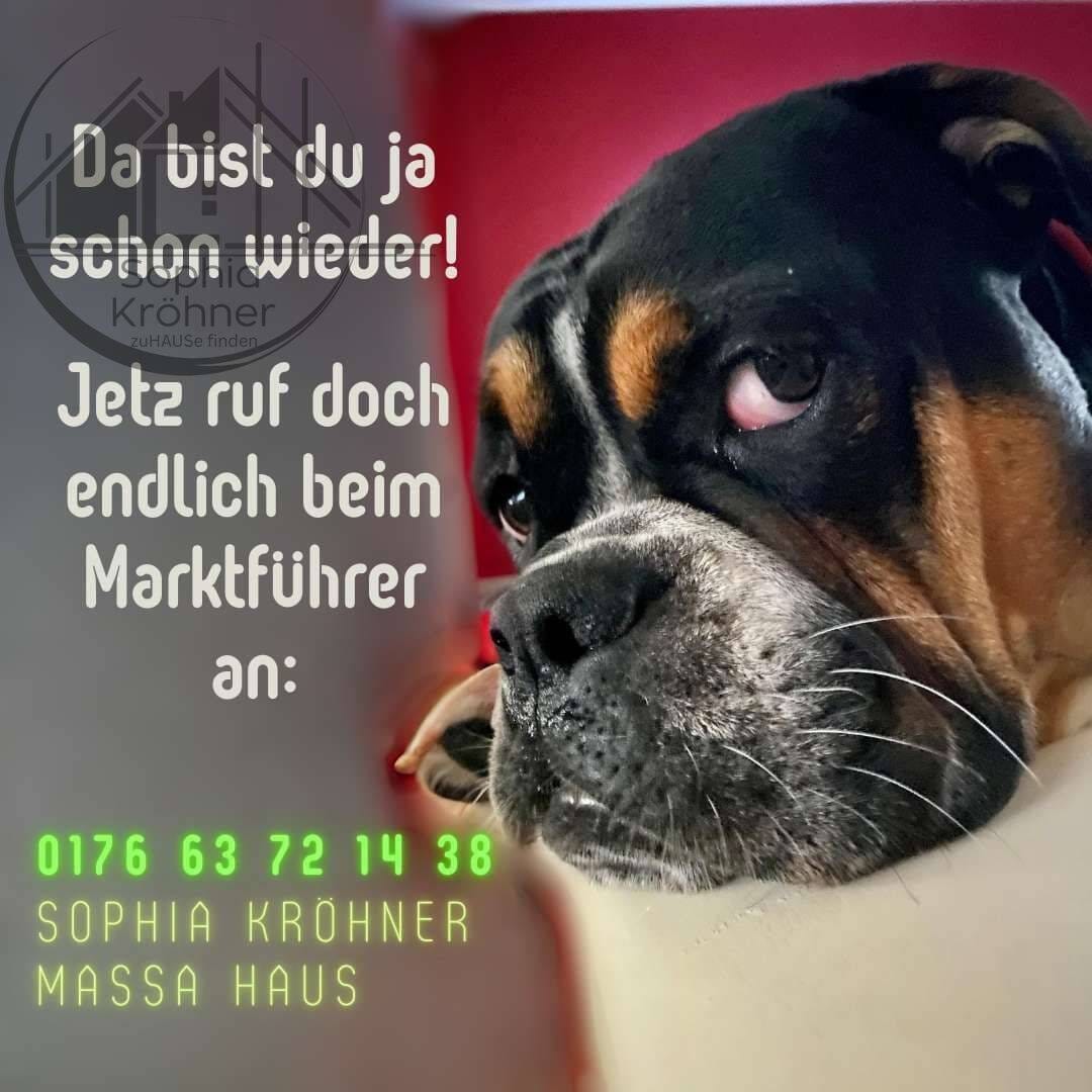 Immobilie in Königsfeld - Dieses Jahr entscheiden - nächstes Jahr einziehen! - Bild 1