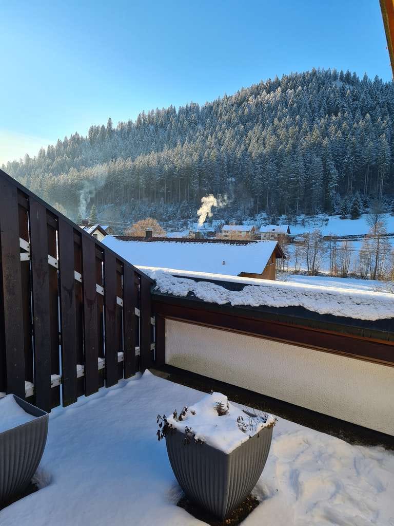 Immobilie in Enzklösterle - Voll möblierte 2 Zimmer DH Wohnung/Ferienwohnung in Enzklösterle mit Tiefgarage - Bild 0