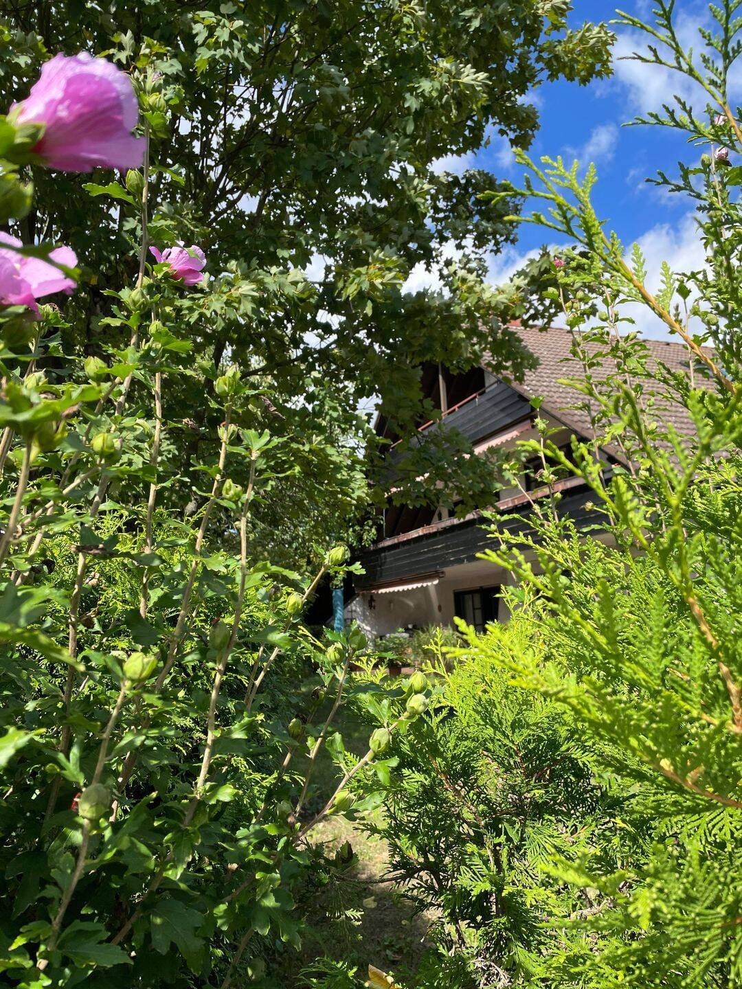 Immobilie in Obertshausen - Attraktives 3 - Famliienhaus mit Garten und PKW-Außenstellplätzen in Obertshausen zu verkaufen !  - Bild 4