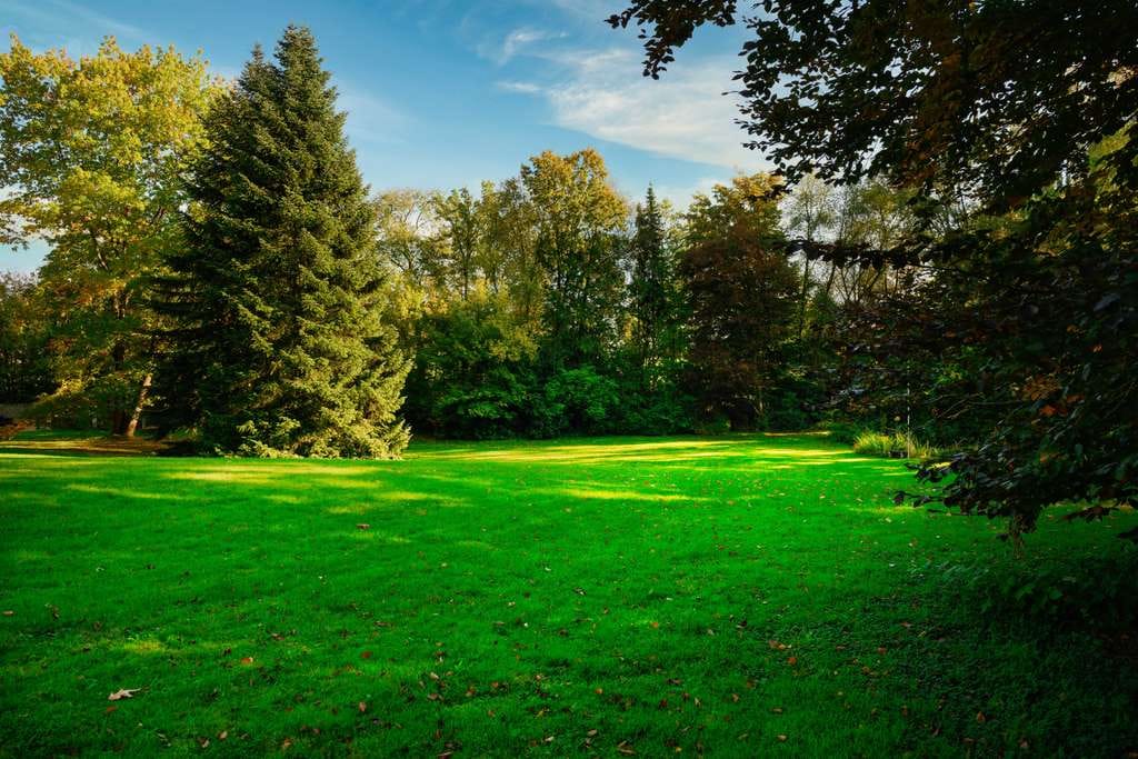 Immobilie in Petersdorf - „Viel Raum zum Leben: 400 m² Wohnfläche auf herrlichem Parkgrundstück – provisionsfrei“ - Bild 1