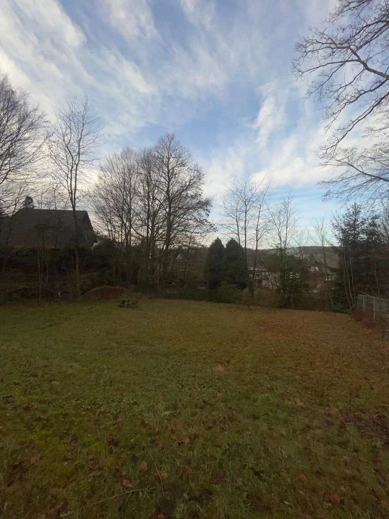 Immobilie in Nümbrecht - Großzügiges Einfamilienhaus mit Einliegerwohnung und traumhaftem Garten in Nümbrecht-Breunfeld! - Bild 4