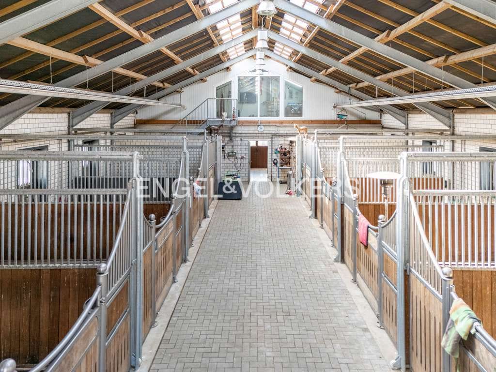 Immobilie in Oberlangen - Exklusives Wohnhaus mit Reitanlage, Reithalle & PV-Anlage – Wohnen & Pferdehaltung vereint - Bild 2