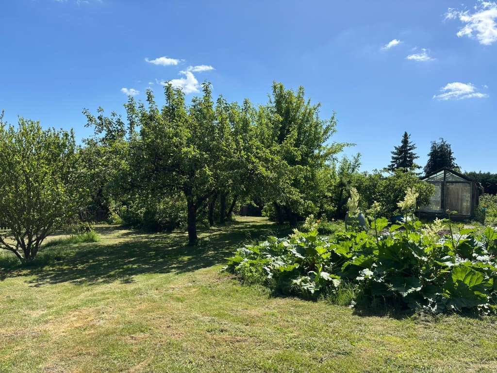 Immobilie in Hohenzieritz - Charmantes Einfamilienhaus mit großem Grundstück und Ausbaureserve in idyllischer Lage - Bild 3