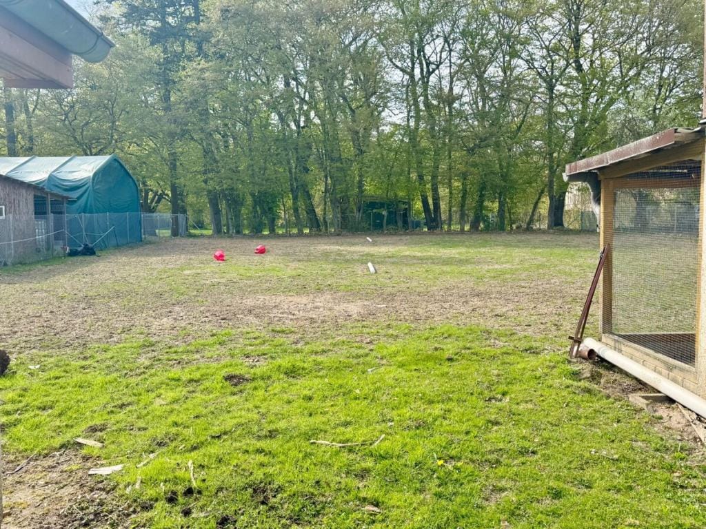 Immobilie in Bartow - Einfamilienhaus freistehend in Werder - Bild 1
