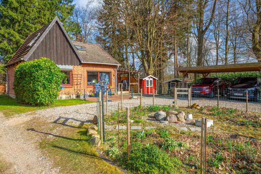 Immobilie in Lütjensee - ! Neu ! Reetdachhaus mit Nebengebäude und großem Grundstück in 22952 Lütjensee - Bild 3