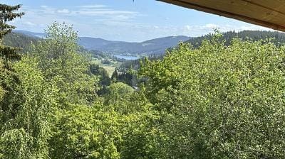 Immobilie in Feldberg - ROHBAU MIT ALPINEM CHARME - Bild 4