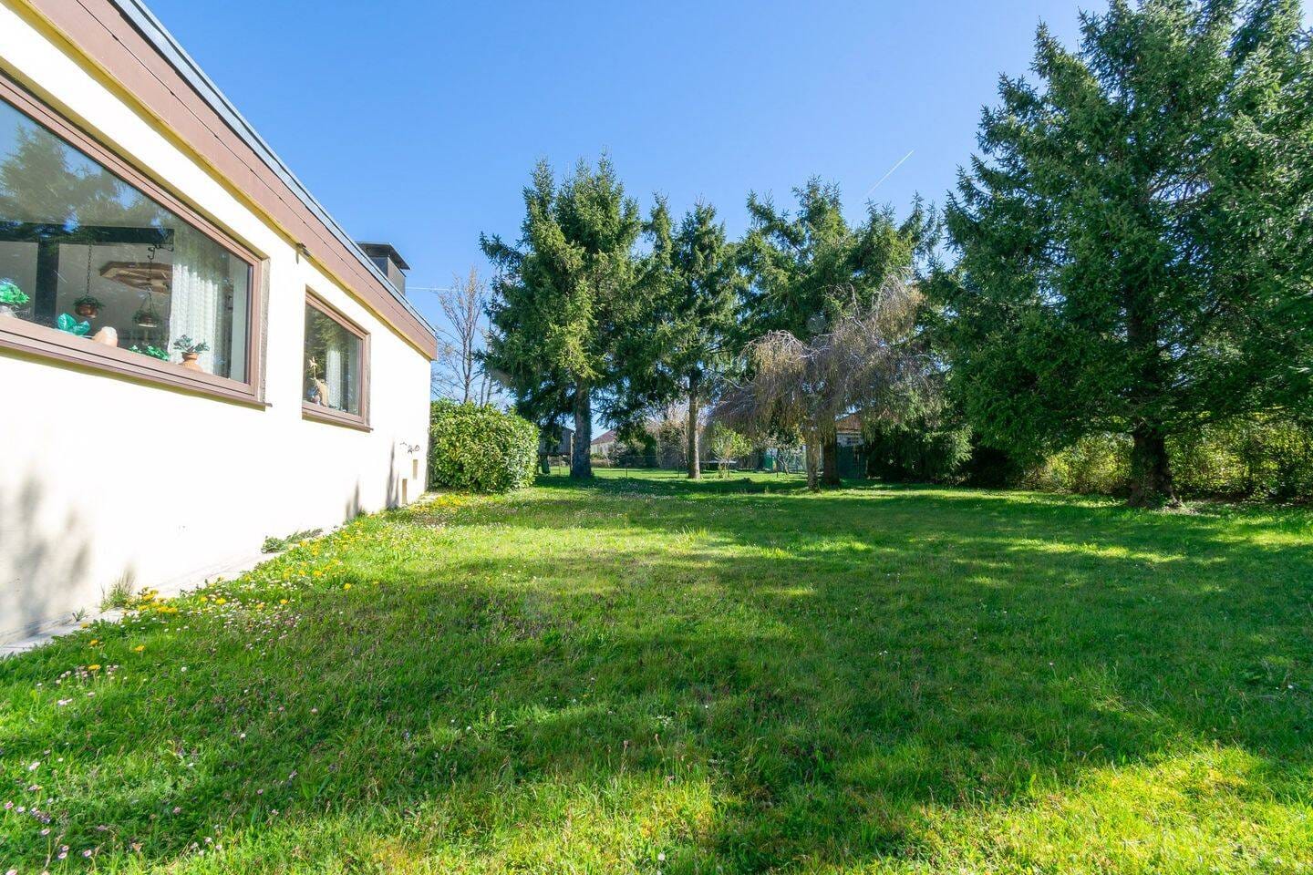 Immobilie in Waldenburg - Ihr neues Zuhause: Stilvoller Bungalow mit großzügigem Garten in Waldenburg - Bild 3