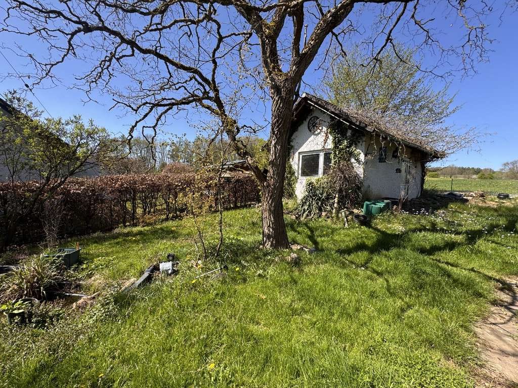 Immobilie in Mehren - Charmantes Einfamilienhaus mit großem Grundstück und viel Potenzial in ruhiger Lage - Bild 2