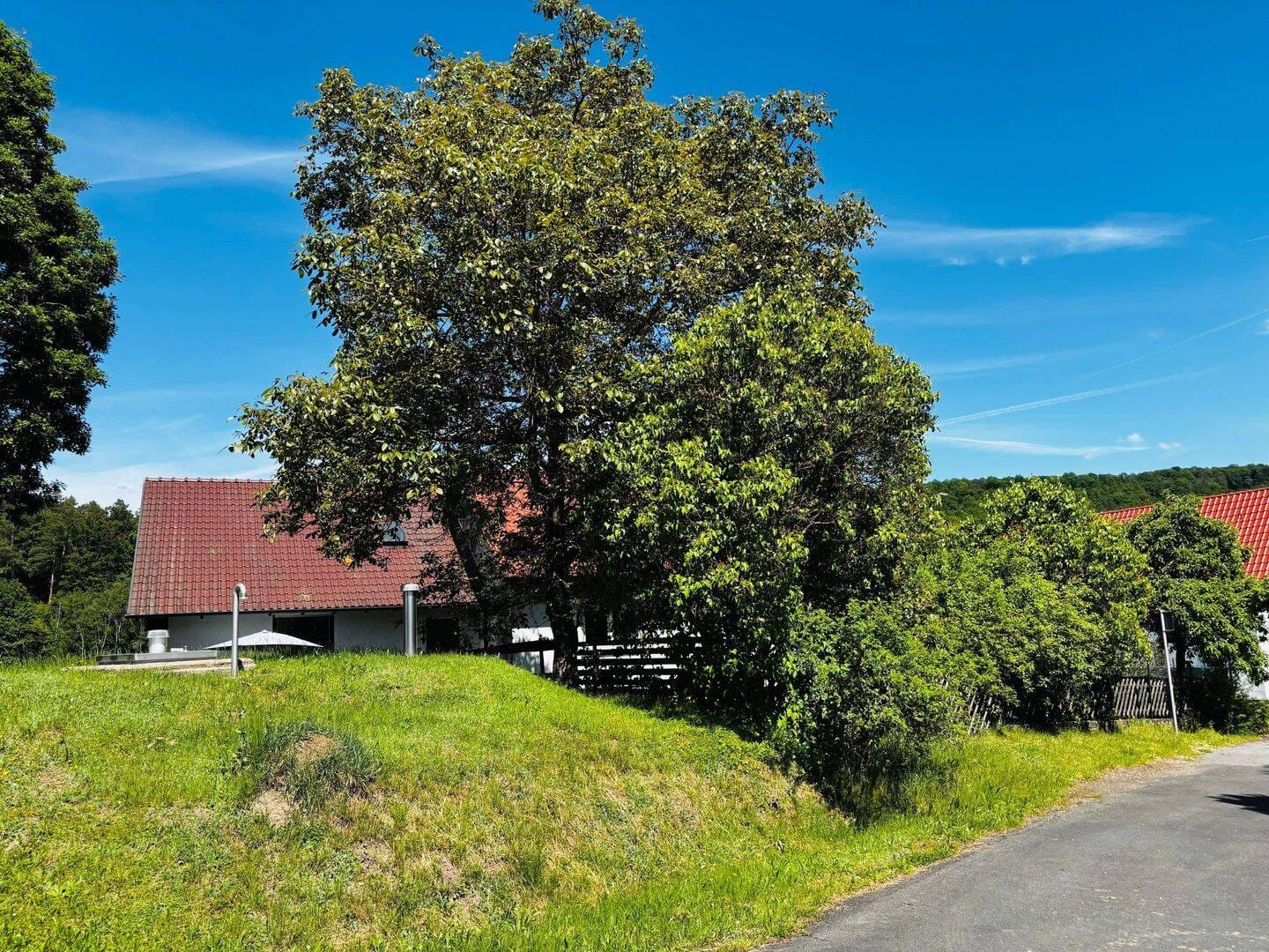 Immobilie in Kirchlauter - *NATUR PUR* Ihr neues, viel Platz bietendes Zuhause auf einem 3.800m² großen Grundstück in begehrter Ortsrandlage! - Bild 2