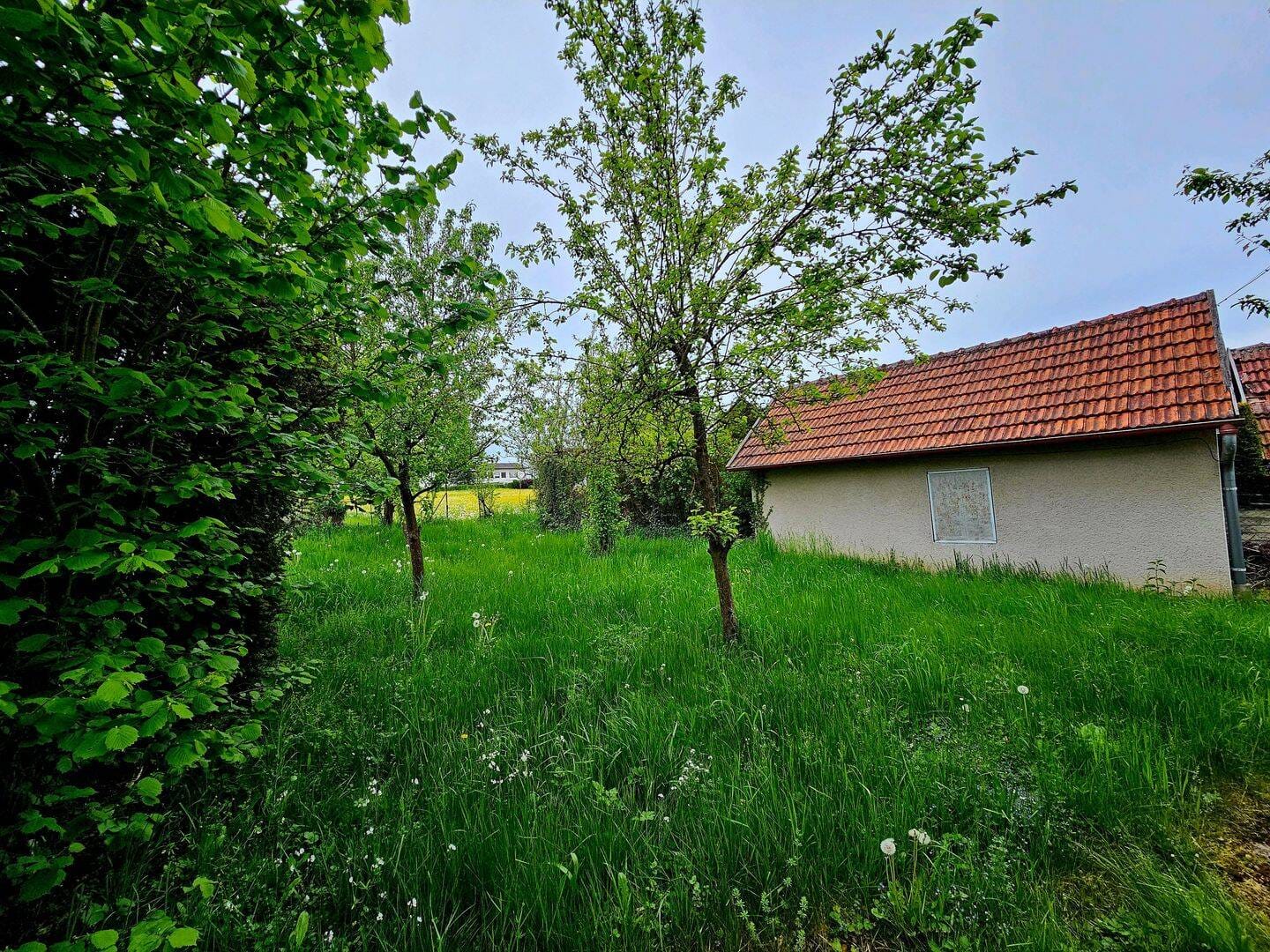Immobilie in Böbingen an der Rems - 2- Familien-Wohnhaus in Böbingen - Bild 4