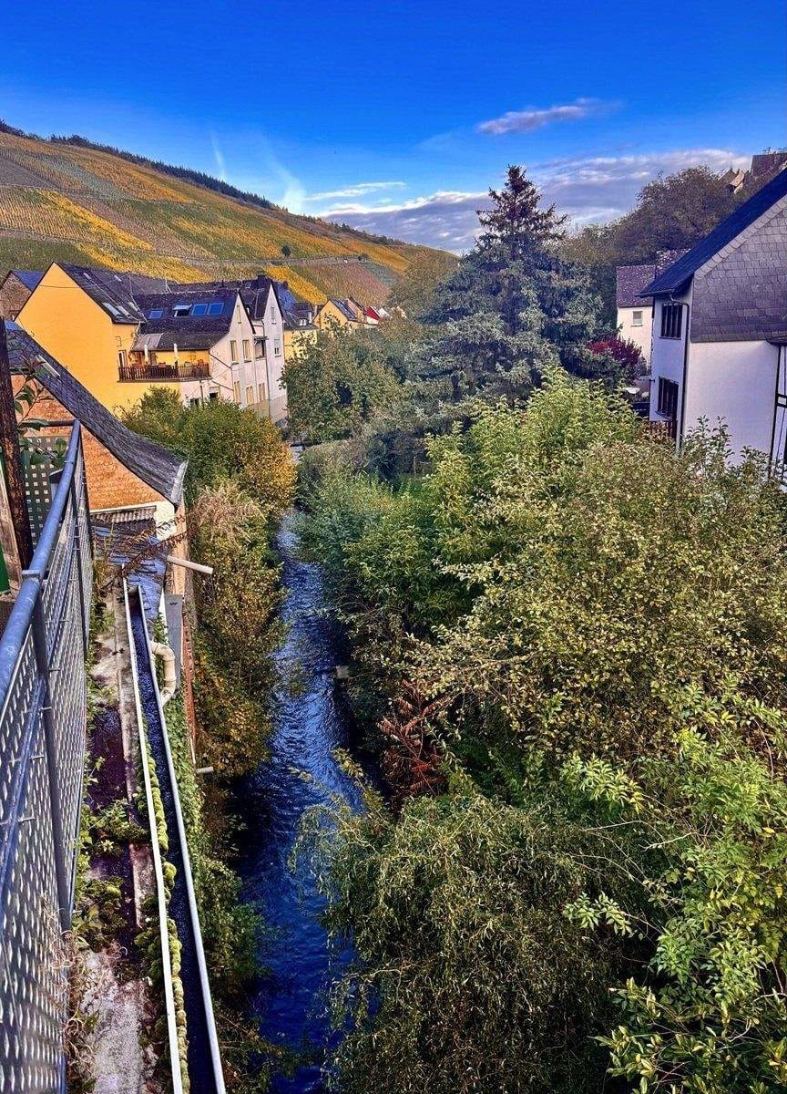 Immobilie in Enkirch - Frühjahres-Angebot: Wohnhaus mit 3 Wohnungen  (Ferienwohnungen) an der Mosel - Bild 3
