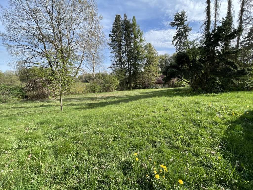 Immobilie in Reuth b.Erbendorf - Über 4.000 m² Freiheit: Ihr Wohntraum mit außergewöhnlichem Grundstückspotential! - Bild 2