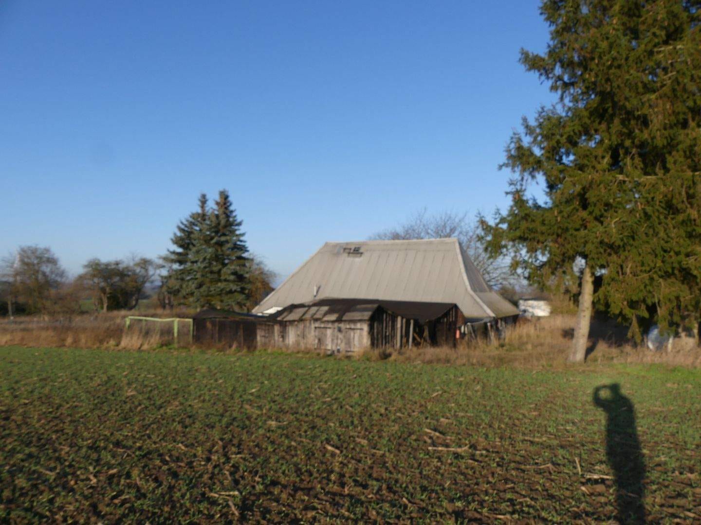 Immobilie in Klein Belitz - Bauernhaus mit großem Grundstück in ruhiger Lage - Bild 4