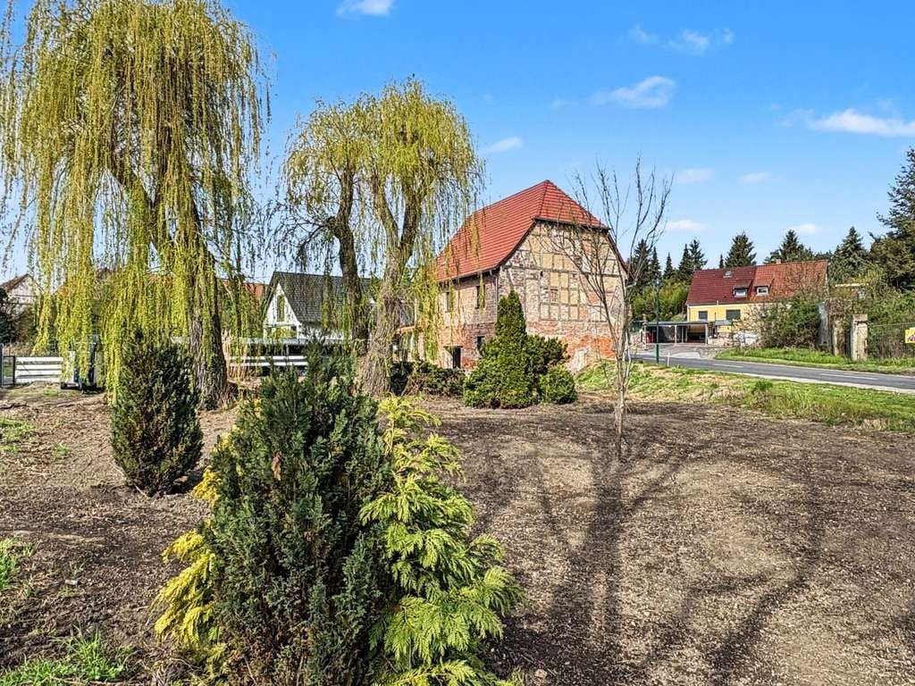Immobilie in Hohenmölsen - Provisionsfrei für Käufer - Massives Einfamilienhaus mit Kamin und großem Grundstück in Hohenmölsen - Bild 1