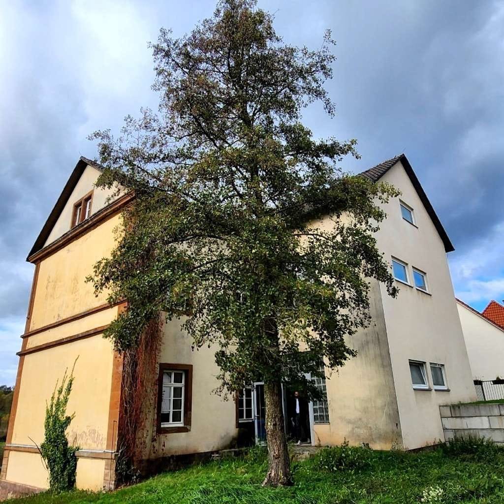 Immobilie in Althornbach - Mehrfamilienhaus , Top Renditeobjekt mit viel Potential in Althornbach, Zweibrücken-Land - Bild 2