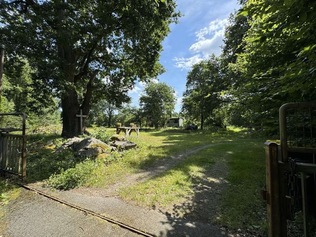Immobilie in Munster - altes Forsthaus, Nebengebäude, 7600qm Grundstück, teilbar in 4 Baugrundstücke einzeln erwerbar - Bild 4