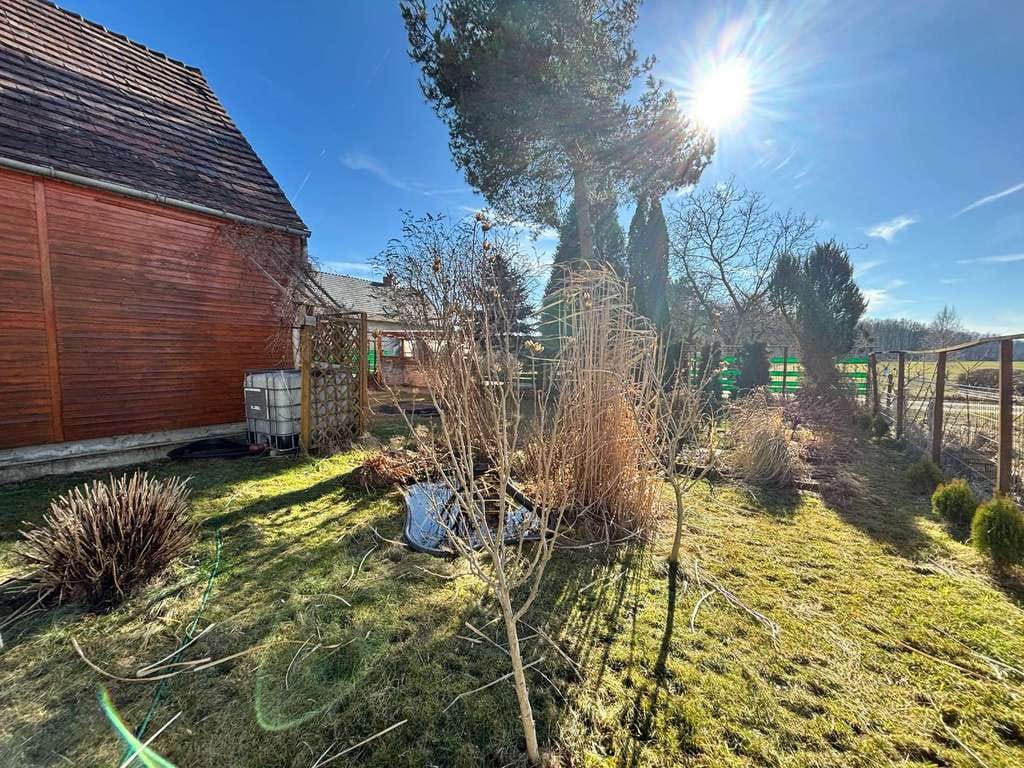 Immobilie in Neißeaue - Ruhig, grün und voller Möglichkeiten – Haus mit 580 m² Grundstück - Bild 4